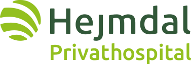 Hejmdal logo full